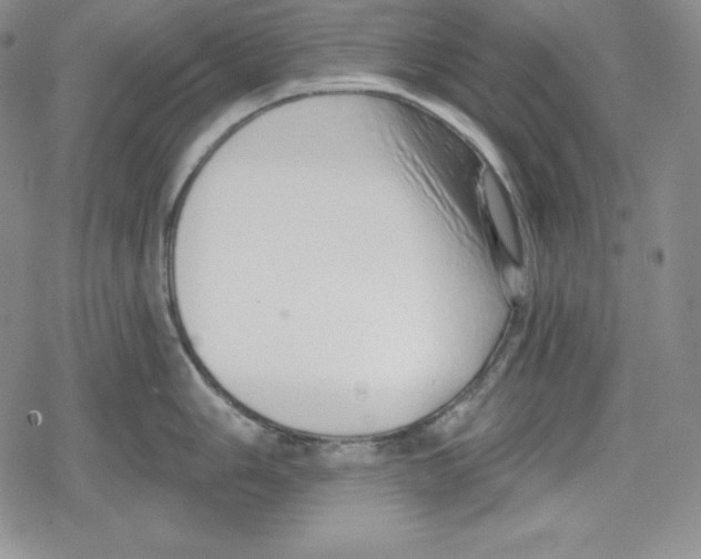 X0000078831006200612111515