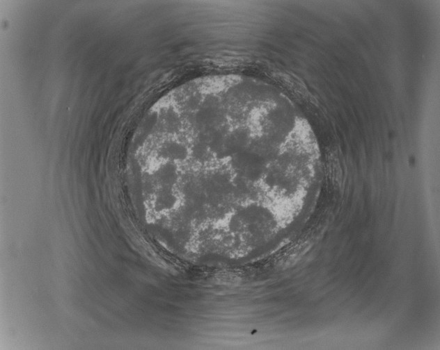 X0000078831009200612111514