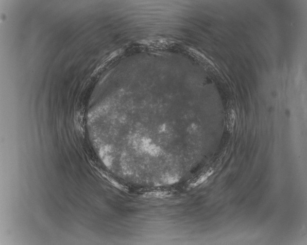 X0000078831010200612111514