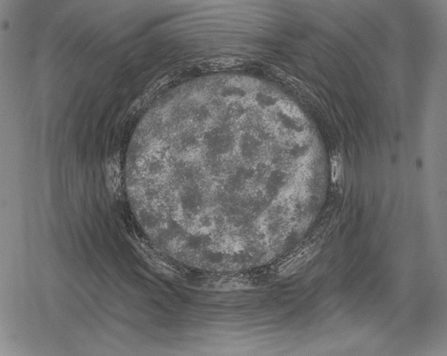 X0000078831011200612111514