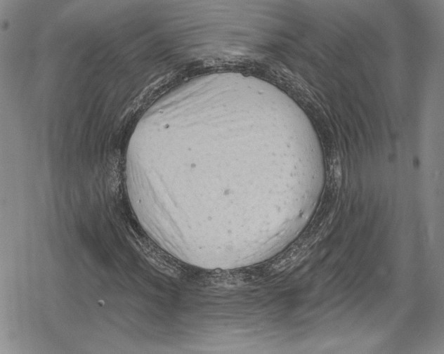 X0000078831012200612111514