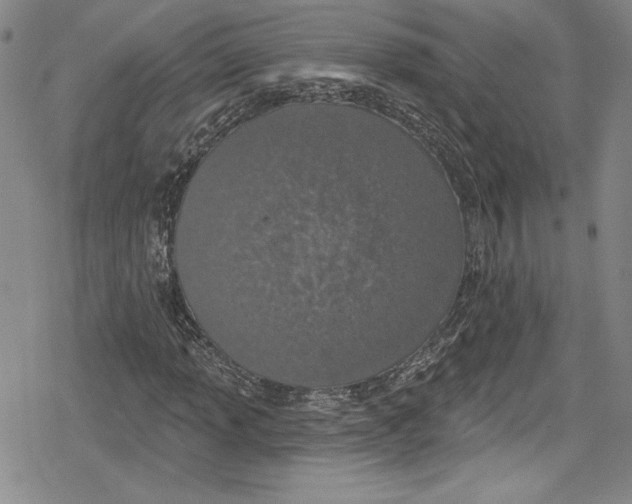 X0000078831013200612111514