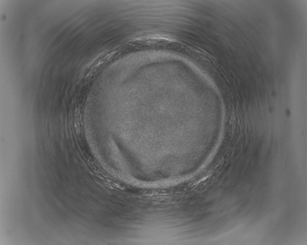 X0000078831014200612111514