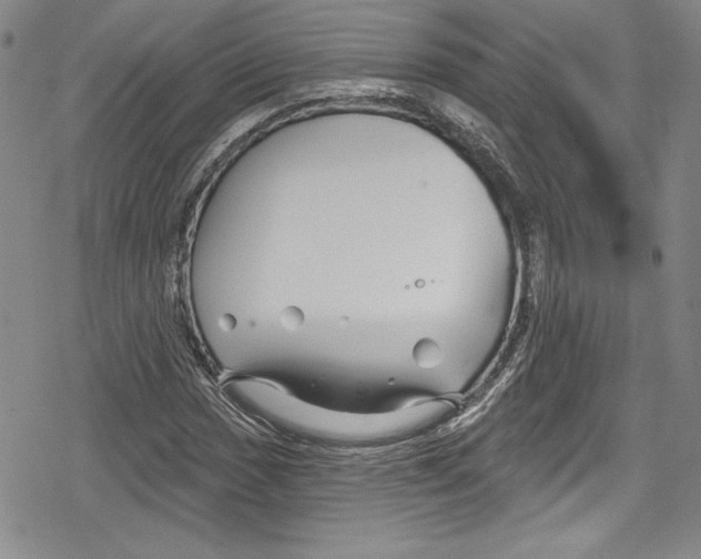 X0000078831017200612111514