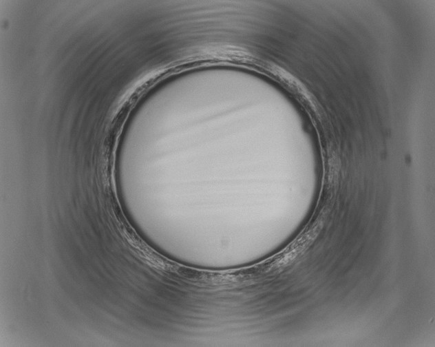 X0000078831019200612111514