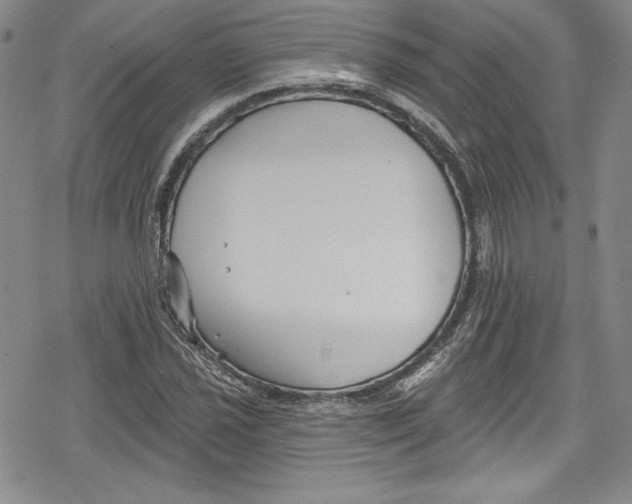 X0000078831021200612111514