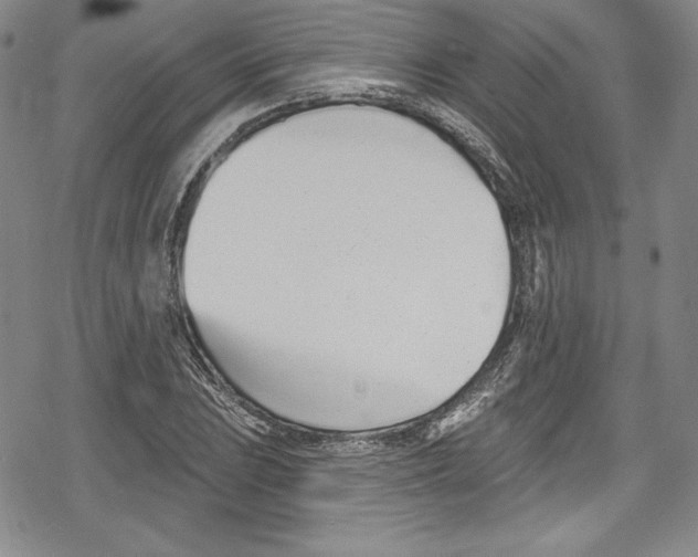 X0000078831023200612111514