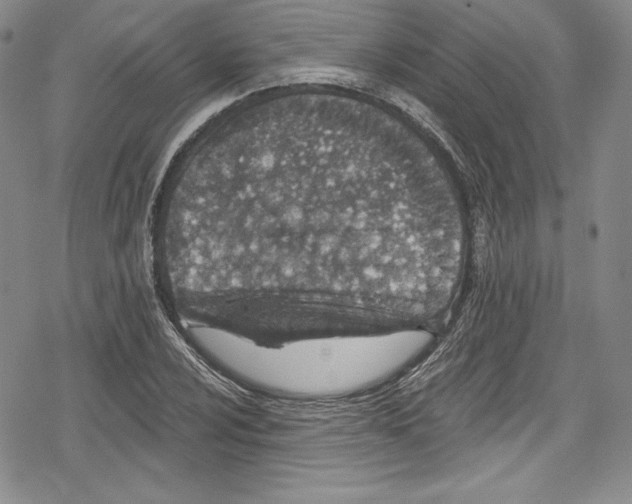 X0000078831024200612111514