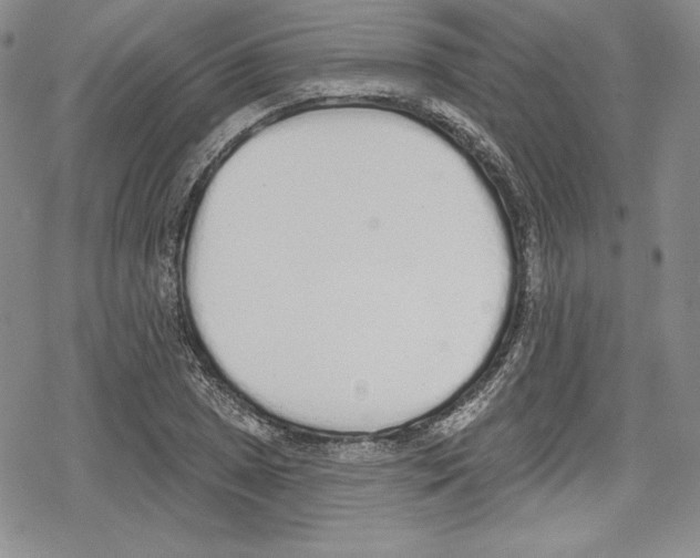 X0000078831025200612111514