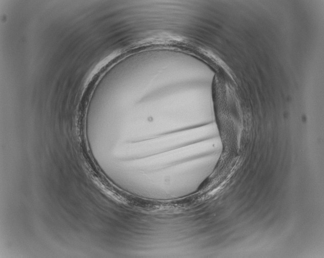 X0000078831026200612111514