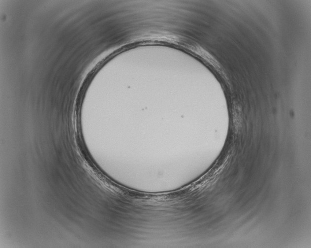 X0000078831028200612111514