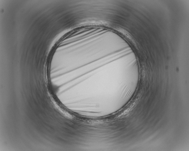 X0000078831030200612111514