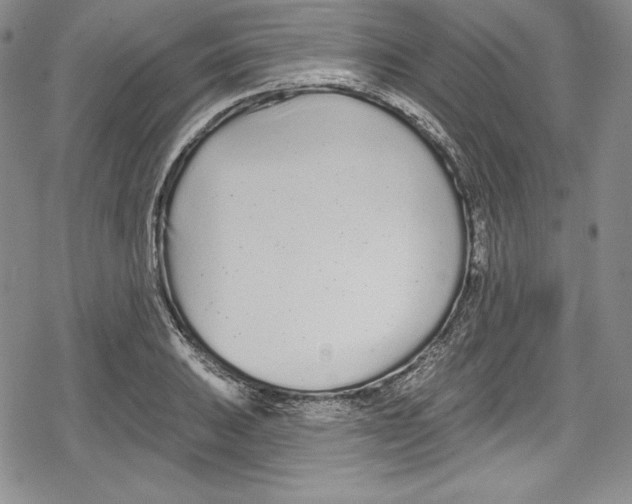 X0000078831031200612111514