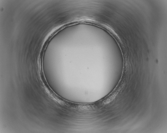 X0000078831032200612111514