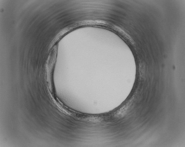 X0000078831033200612111514