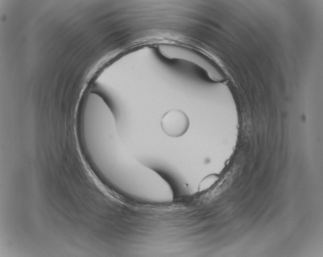 X0000078831034200612111514