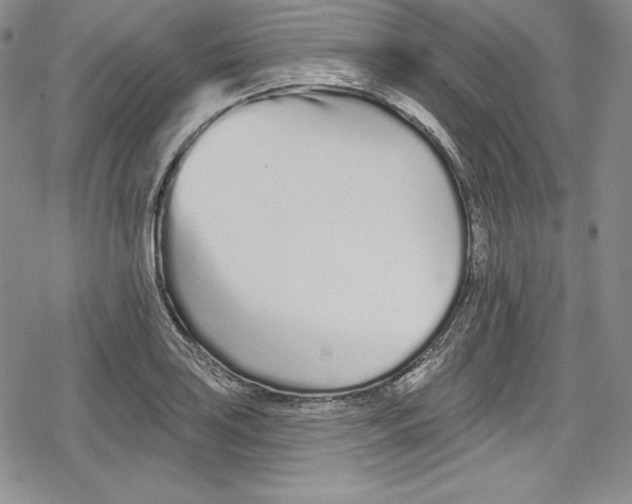 X0000078831035200612111514