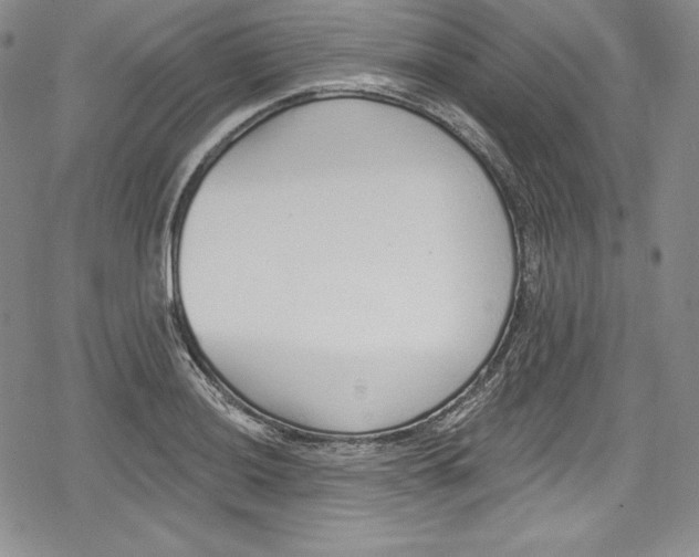 X0000078831036200612111514