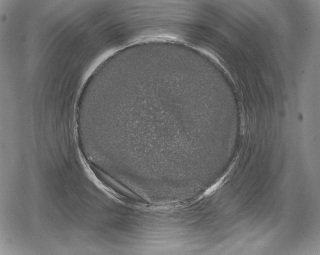 X0000078831038200612111514