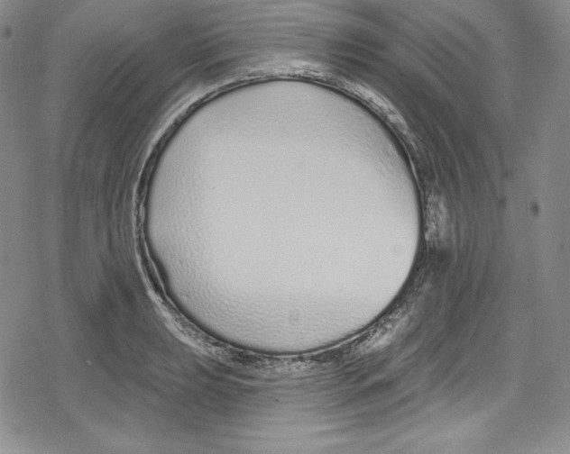 X0000078831039200612111514