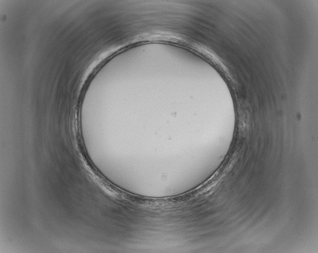 X0000078831040200612111514