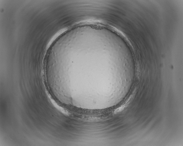 X0000078831042200612111514