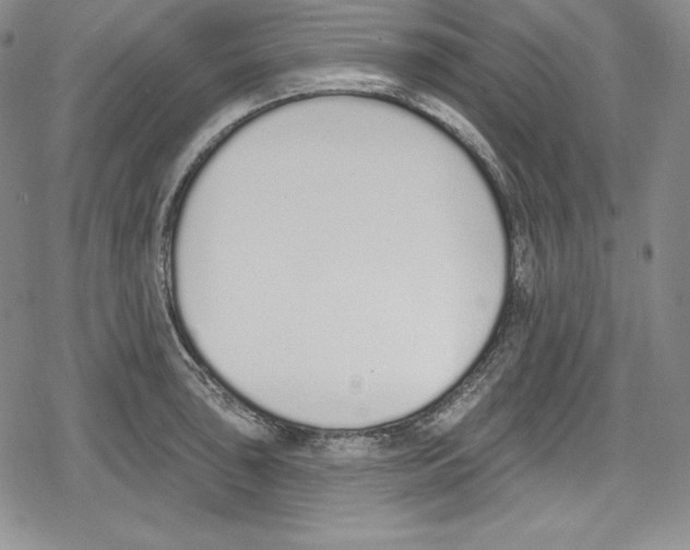 X0000078831043200612111514