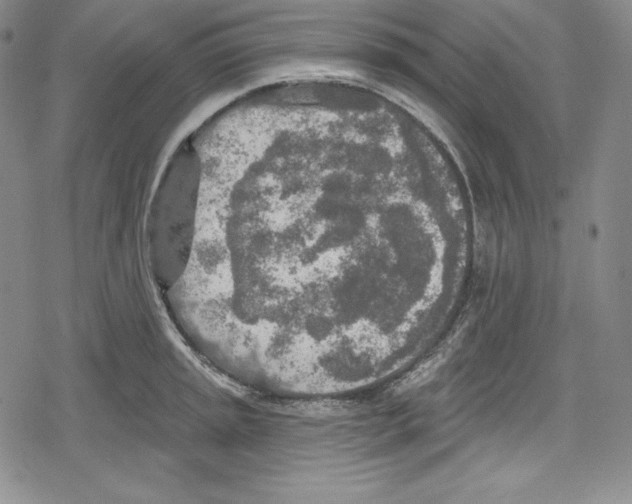 X0000078831045200612111514