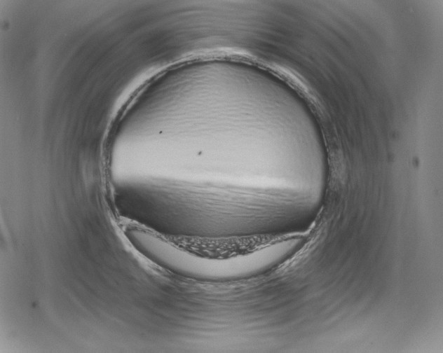 X0000078831046200612111514