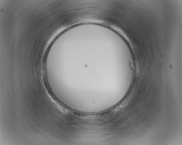 X0000078831048200612111514