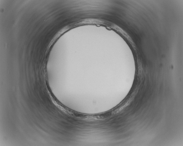 X0000078831049200612111514