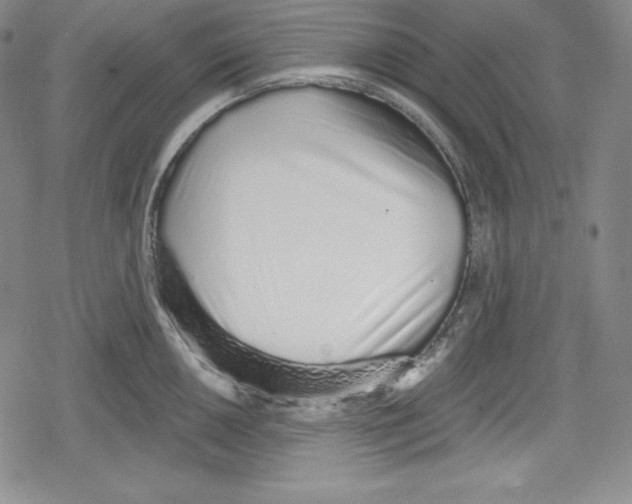 X0000078831050200612111514