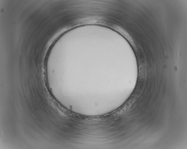 X0000078831051200612111515