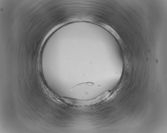 X0000078831052200612111515