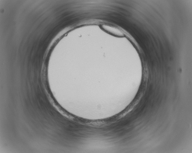 X0000078831053200612111515