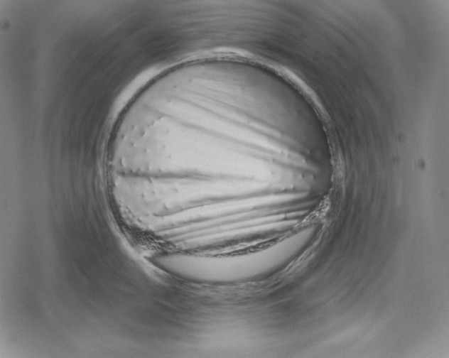 X0000078831054200612111515