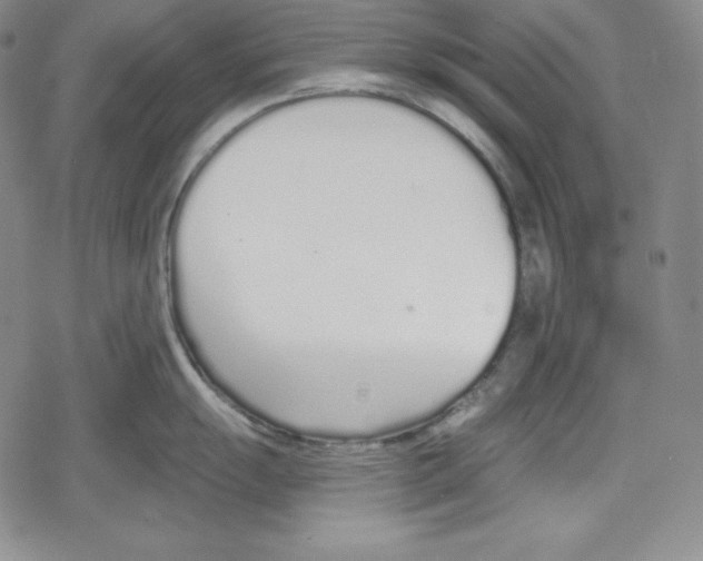 X0000078831055200612111515