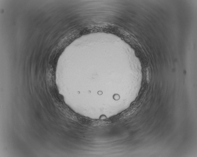 X0000078831059200612111514