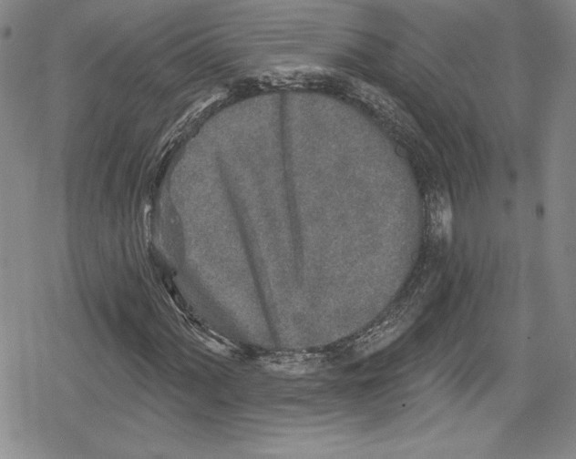 X0000078831060200612111514