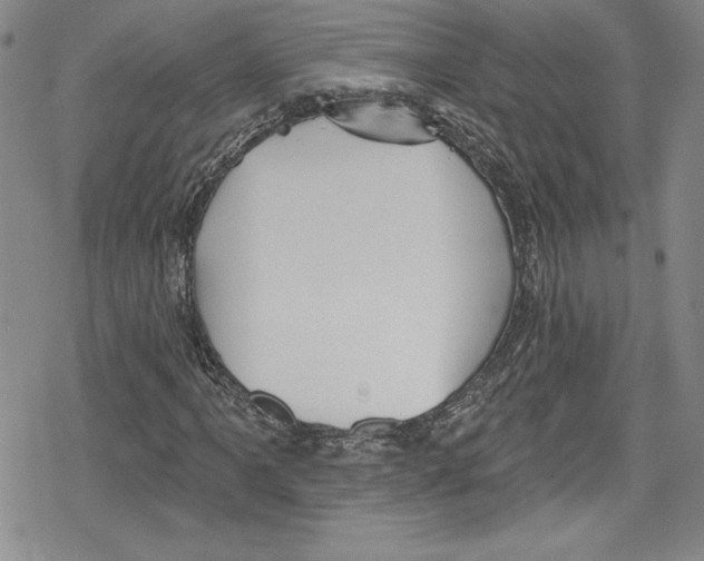 X0000078831061200612111514