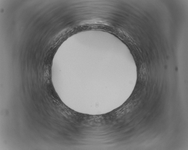 X0000078831062200612111514