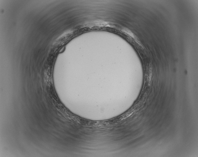 X0000078831063200612111514