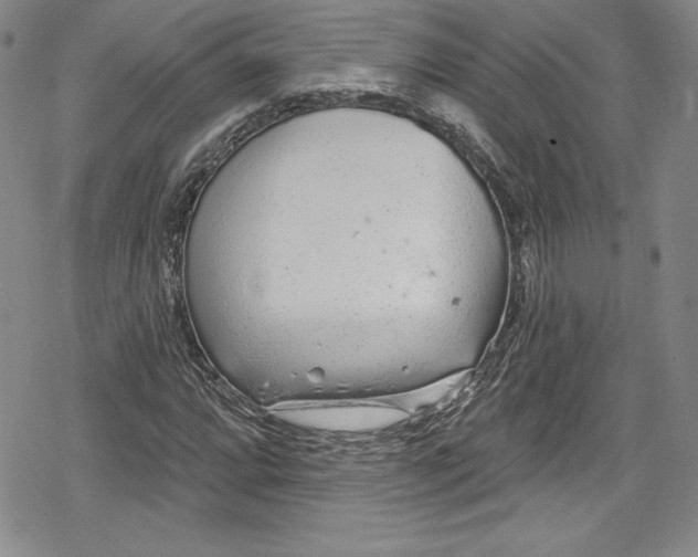 X0000078831064200612111514