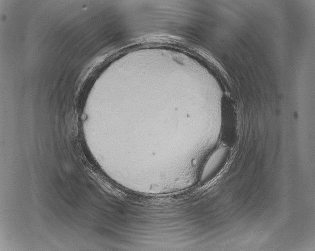 X0000078831067200612111514