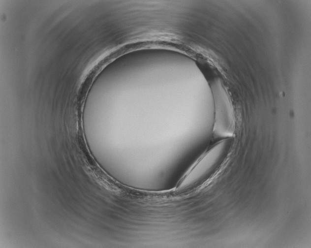 X0000078831069200612111514