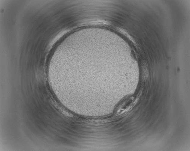 X0000078831071200612111514