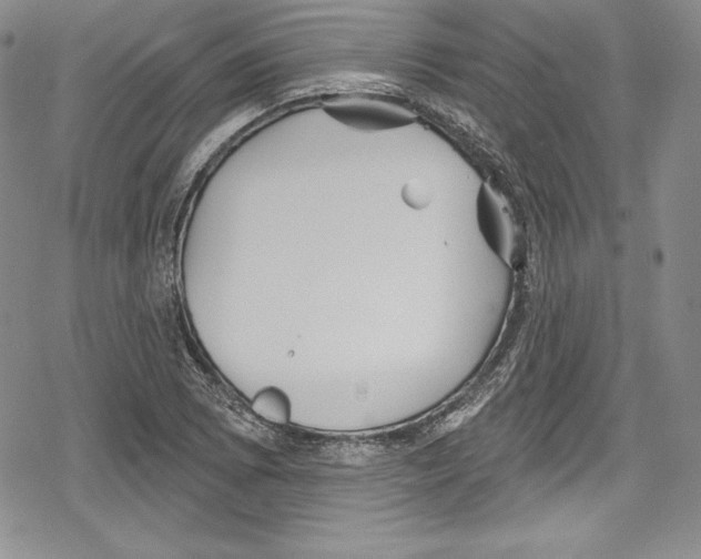 X0000078831073200612111514