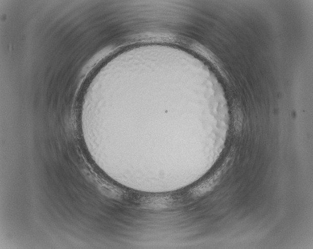 X0000078831074200612111513