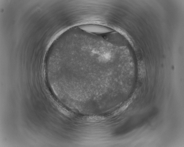 X0000078831077200612111513