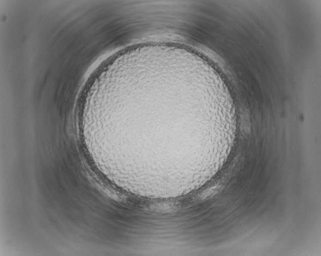 X0000078831078200612111513